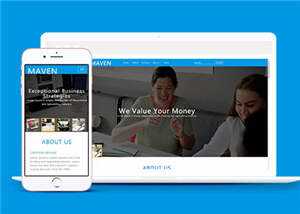 专业咨询服务展示HTML网页模板下载 - 火火兔电子商城