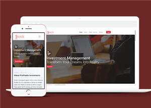 股票金融分析团队HTML网页模板下载 - 火火兔电子商城