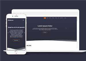 简约业务团队动态响应式网页模板 - 火火兔电子商城