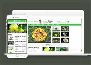 响应式花卉养殖资讯类前端模板 - 火火兔电子商城