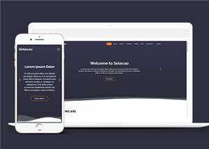 简约业务团队动态响应式网页模板下载 - 火火兔电子商城