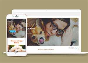 宠物美容服务公司网站模板源码 - 火火兔电子商城