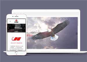 网络公司品牌推广公司网站前端模板下载 - 火火兔电子商城