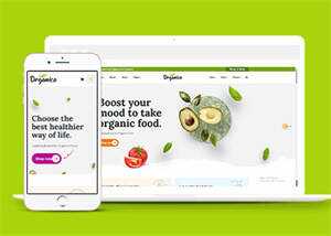 蔬菜水果商店网站响应式模板下载 - 火火兔电子商城