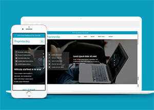 淘宝详情页制作响应式网站模板 - 火火兔电子商城