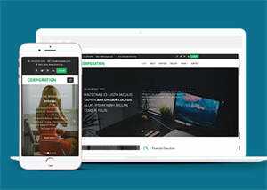 响应式财务管理公司网站模板 - 火火兔电子商城