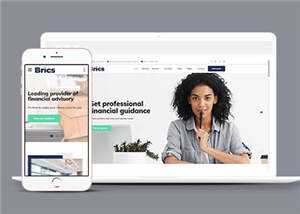 公司财务咨询网站模板下载 - 火火兔电子商城