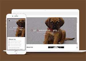 简洁宠物饲养单页HTML模板下载 - 火火兔电子商城