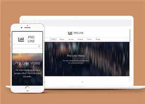 简约专业服务信息在线企业网页模板下载 - 火火兔电子商城
