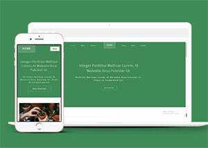 响应式多肉植物种植网站模板下载 - 火火兔电子商城