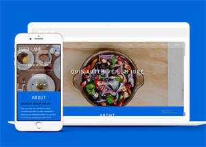 大气美食制作类网站模板下载 - 火火兔电子商城