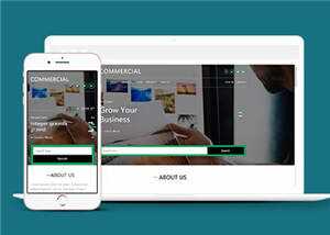 简洁商业贸易服务展示HTML网页模板下载 - 火火兔电子商城
