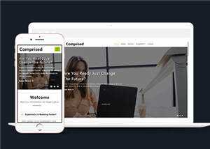 宽屏企业合作商务展示源码模板下载 - 火火兔电子商城