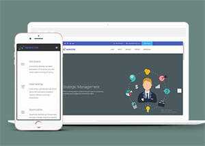 简洁项目外包企业网站模板下载 - 火火兔电子商城