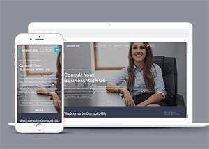 简洁专业投资顾问网站模板下载 - 火火兔电子商城
