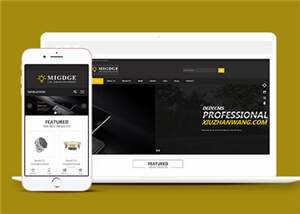 简洁响应式灯具公司前端模板下载 - 火火兔电子商城