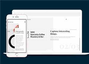 宽屏创意展示动态响应式网站模板下载 - 火火兔电子商城