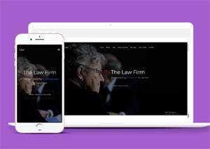 美国律师事务所企业网站模板源码 - 火火兔电子商城