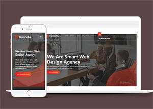 web软件应用开发公司网站模板 - 火火兔电子商城