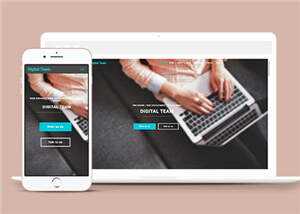 简洁数字团队服务展示响应式网页模板下载 - 火火兔电子商城