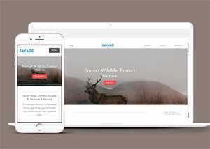 保护野生动物响应式网站模板下载 - 火火兔电子商城