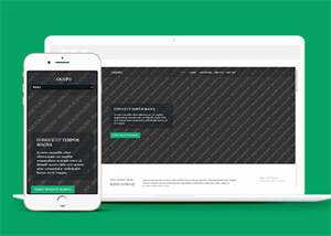 响应式野外游泳爱好者网站模板 - 火火兔电子商城