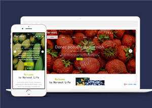 响应式果蔬大棚企业源码模板下载 - 火火兔电子商城