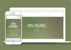 简洁绿色主题公司网站模板下载 - 火火兔电子商城