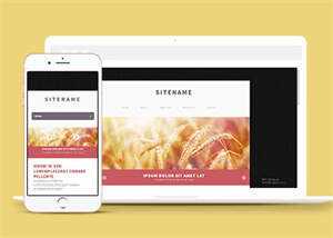 宽屏粉色个人博客主页网站模板 - 火火兔电子商城