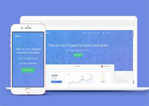 互联网云平台公司网站模板源码 - 火火兔电子商城