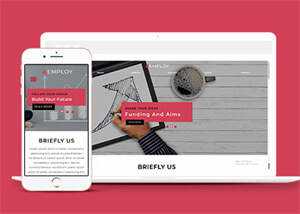 网站运营数据指标网站模板下载 - 火火兔电子商城