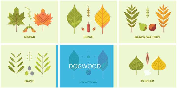 jQuery列表图片鼠标悬停感知方向遮罩层移动特效 - 火火兔电子商城