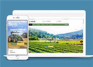 宽屏农业生产项目html模板下载 - 火火兔电子商城