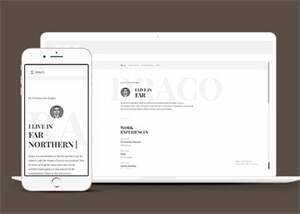 简洁程序员求职简历模板下载 - 火火兔电子商城