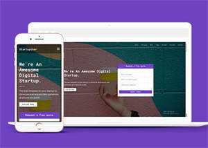 数字创业公司响应式模板下载 - 火火兔电子商城