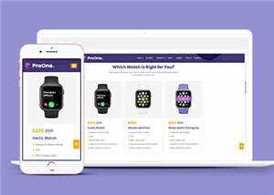 智能科技公司源码模板下载 - 火火兔电子商城