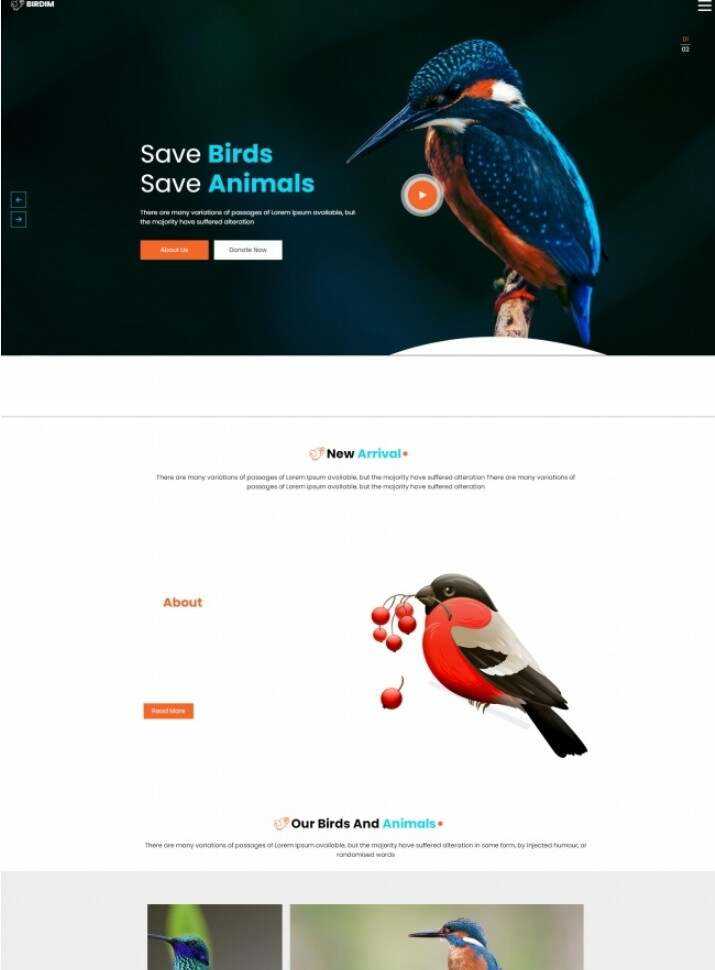 拯救鸟类拯救动物HTML5网站模板 - 火火兔电子商城
