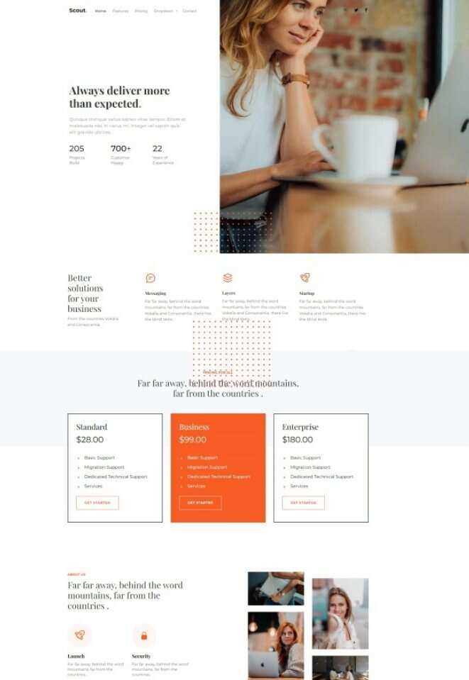 Bootstrap商务咨询服务公司网站HTML模板 - 火火兔电子商城