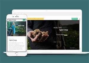 足球运动直播网站响应式模板 - 火火兔电子商城