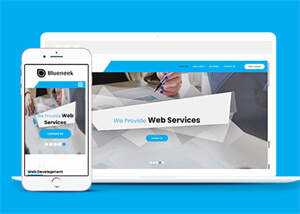 移动应用开发公司网站模板下载 - 火火兔电子商城