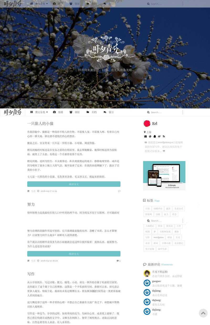 wordpress极简优秀的博客主题–ErlSimpleV1.5主题 - 火火兔电子商城