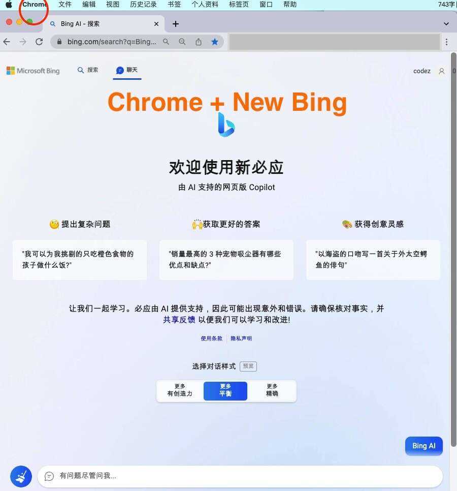 微软New Bing完美聊天机器人源码，支持ChatGPT提示词 国内可用，基本兼容微软 Bing AI 所有功能 - 火火兔电子商城