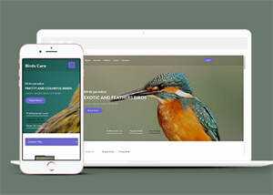 专业鸟类百科HTML网站模板 - 火火兔电子商城