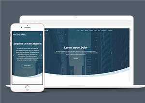 企业业务案例展示响应式网页模板下载 - 火火兔电子商城