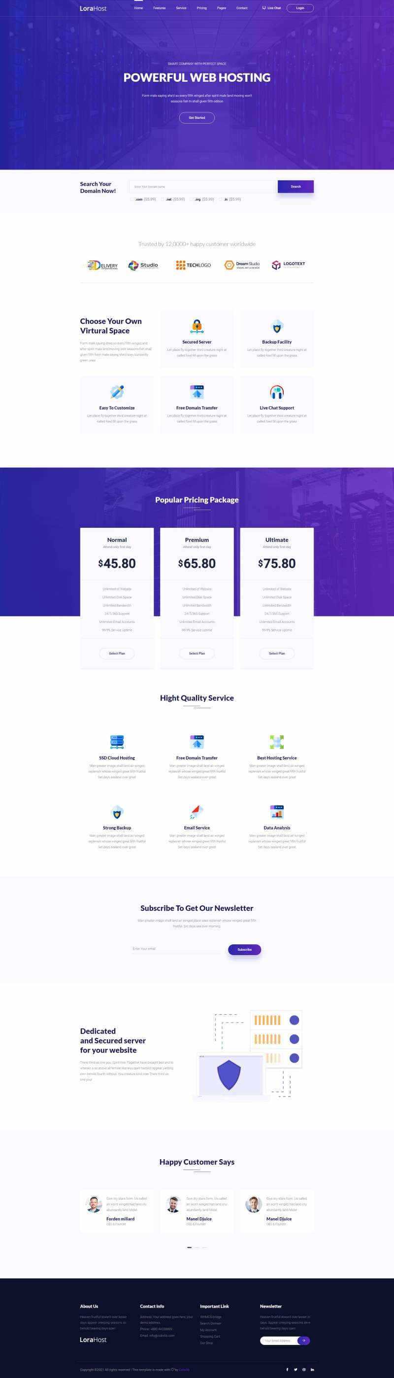 紫色的虚拟主机域名托管服务网站html模板 - 火火兔电子商城